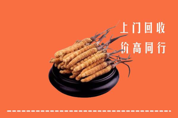 高价求购：北海市回收散虫草